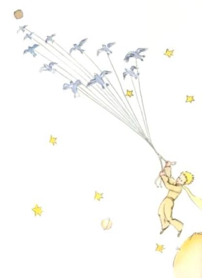 Le prince s'envole avec les oiseaux sauvages